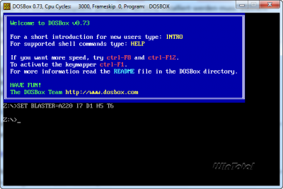 DOSBox