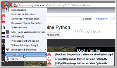 YouTube-Film in den verschiedenen verfügbaren Auflösungen unter „Medien“