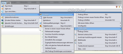 Firebug Einstellungen