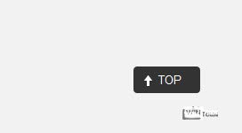 Top-Button WinTotal-Navigation-Top