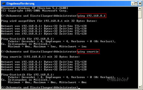 Ping-Tests