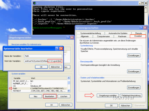 Cygwin