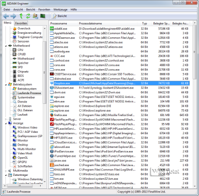 AIDA64, Prozesse
