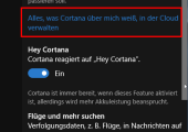 Cortana-Einstellungen