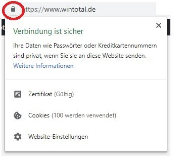 Browser mit Schloss-Symbol