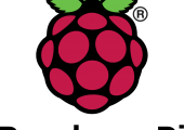 Raspberry Pi Logo