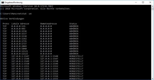 Netstat bestehende Verbindungen