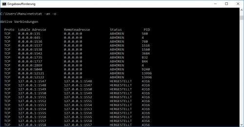 Netstat Prozess IDs