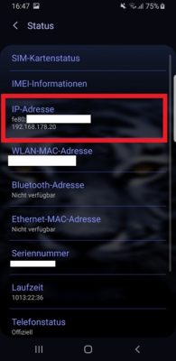 IP-Adresse im Status des Smartphones anzeigen