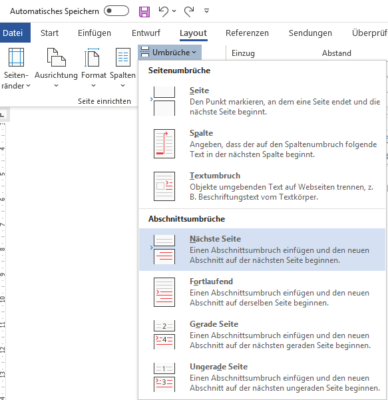 Abschnittsumbruch nächste Seite
