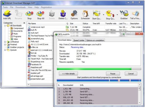 Screenshot des Internet Download Manager