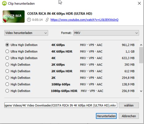 4K Video Downloader Download im MKV-Format