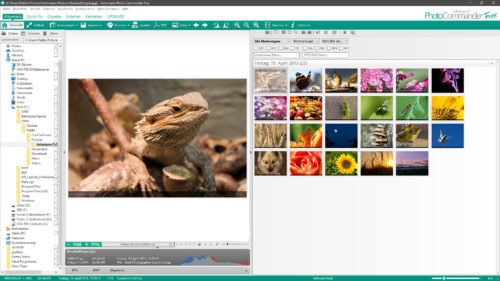 Ashampoo Photo Commander Free Programmoberfläche