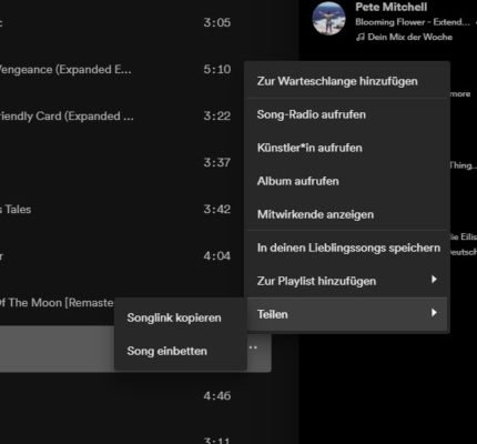 Song URL für Lieder aus Spotify kopieren