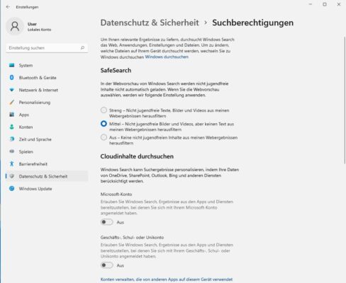 Suchberechtigungen in den Einstellungen von Windows 11