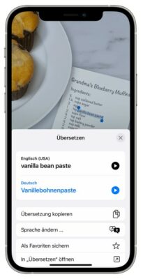 iPhone Live Text Übersetzung