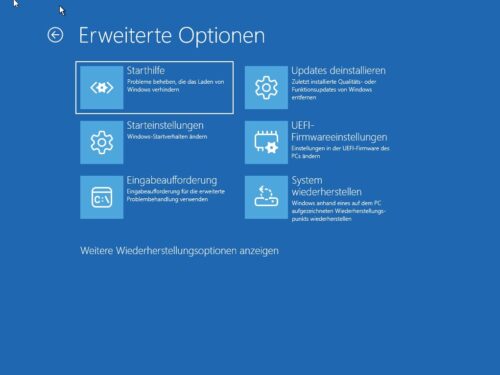 erweiterte Optionen unter Problembehandlung