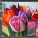 jpg-Illuminator jpg-Illuminator