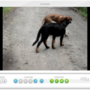 Freemake Video Converter