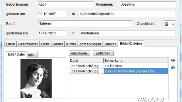 Ahnenblatt - Download - Kostenlos & schnell auf WinTotal.de