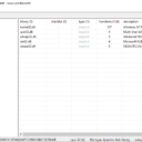 pestudio