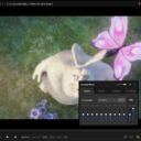 PotPlayer mit Control Panel