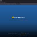 Mullvad Browser Start