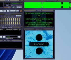 Winamp Community Update Project - die wichtigsten Fenster